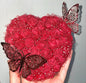 🦋 Cœur avec papillons 🦋